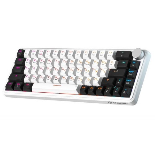 Купить Клавиатура GamePro Asgard Valhalla MK210 Pro RGB QLAB Orange Switches White - цена в Харькове, Киеве, Днепре, Одессе
в интернет-магазине Telemart фото