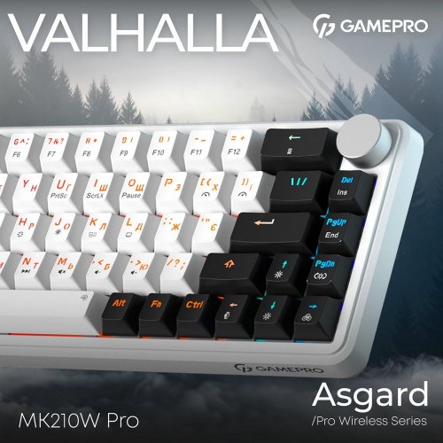 Купить Клавиатура GamePro Asgard Valhalla MK210 Pro RGB QLAB Orange Switches White - цена в Харькове, Киеве, Днепре, Одессе
в интернет-магазине Telemart фото