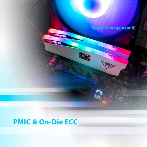 ОЗП Patriot DDR5 48GB (2x24GB) 7000Mhz Viper Elite 5 RGB (PVER548G70C32KW) купити з перевіркою сумісності: огляд, характеристики, ціна у Києві, Львові, Вінниці, Хмельницькому, Івано-Франківську, Україні | інтернет-магазин TELEMART.UA фото