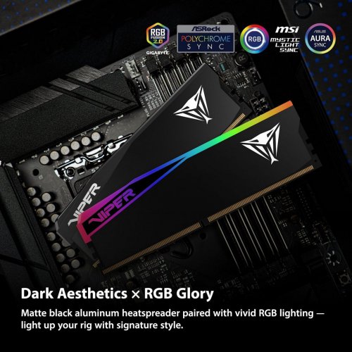 ОЗП Patriot DDR5 64GB (2x32GB) 6000Mhz Viper Elite 5 Ultra (VEU564G6028K) купити з перевіркою сумісності: огляд, характеристики, ціна у Києві, Львові, Вінниці, Хмельницькому, Івано-Франківську, Україні | інтернет-магазин TELEMART.UA фото
