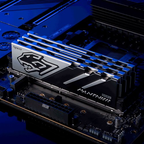 Купить ОЗУ Apacer DDR5 32GB (2x16GB) 6000Mhz Panther (AH5U32G60C6227BAA-2) с проверкой совместимости: обзор, характеристики, цена в Киеве, Днепре, Одессе, Харькове, Украине | интернет-магазин TELEMART.UA фото