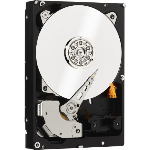 Купить Жесткий диск Western Digital Black 1TB 64MB 3.5" (WD1003FZEX-00K3CA0) (Восстановлено продавцом, 784984) с проверкой совместимости: обзор, характеристики, цена в Киеве, Днепре, Одессе, Харькове, Украине | интернет-магазин TELEMART.UA фото