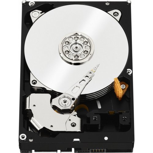 Купить Жесткий диск Western Digital Black 1TB 64MB 3.5" (WD1003FZEX-00K3CA0) (Восстановлено продавцом, 784984) с проверкой совместимости: обзор, характеристики, цена в Киеве, Днепре, Одессе, Харькове, Украине | интернет-магазин TELEMART.UA фото