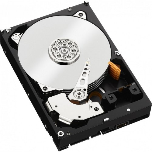 Купить Жесткий диск Western Digital Black 1TB 64MB 3.5" (WD1003FZEX-00K3CA0) (Восстановлено продавцом, 784984) с проверкой совместимости: обзор, характеристики, цена в Киеве, Днепре, Одессе, Харькове, Украине | интернет-магазин TELEMART.UA фото