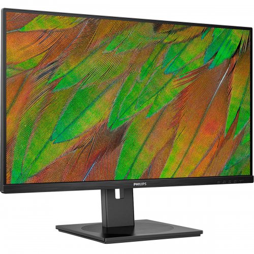 Купити Монітор Philips 31.5" 32B1U3900/00 Black - ціна в Києві, Львові, Вінниці, Хмельницькому, Франківську, Україні | інтернет-магазин TELEMART.UA фото