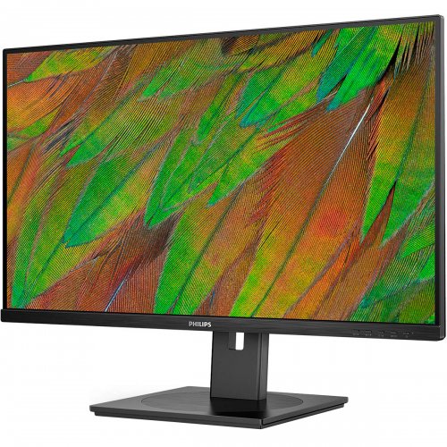 Купити Монітор Philips 31.5" 32B1U3900/00 Black - ціна в Києві, Львові, Вінниці, Хмельницькому, Франківську, Україні | інтернет-магазин TELEMART.UA фото