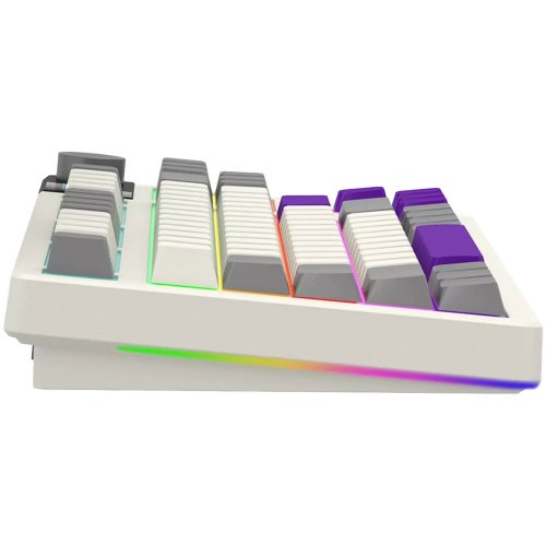 Купить Клавиатура Lorgar KBP70TKLW RGB Mechanical Linear Toxic Purple Switches Wireless (LRG-KBP70TKLW-RT-US) Beige - цена в Харькове, Киеве, Днепре, Одессе
в интернет-магазине Telemart фото