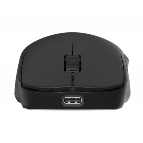 Купити Уцінка миша Endgame Gear OP1we (EGG-OP1WE-BLK) Black (Розкрита упаковка, 786444) - ціна в Києві, Львові, Вінниці, Хмельницькому, Франківську, Україні | інтернет-магазин TELEMART.UA фото