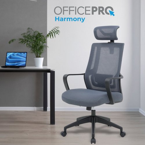 Купить Офисное кресло OfficePro Harmony OC310 (OC310-B-G-G) Black/Gray - цена в Харькове, Киеве, Днепре, Одессе
в интернет-магазине Telemart фото