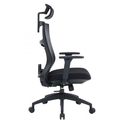 Купить Офисное кресло OfficePro Balance OC550 (OC550-B-B-B) Black - цена в Харькове, Киеве, Днепре, Одессе
в интернет-магазине Telemart фото