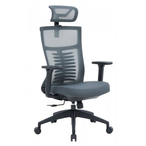 Купити Крісло офісне OfficePro Balance OC550 (OC550-B-DG-DG) Black/Dark Gray - ціна в Києві, Львові, Вінниці, Хмельницькому, Франківську, Україні | інтернет-магазин TELEMART.UA фото