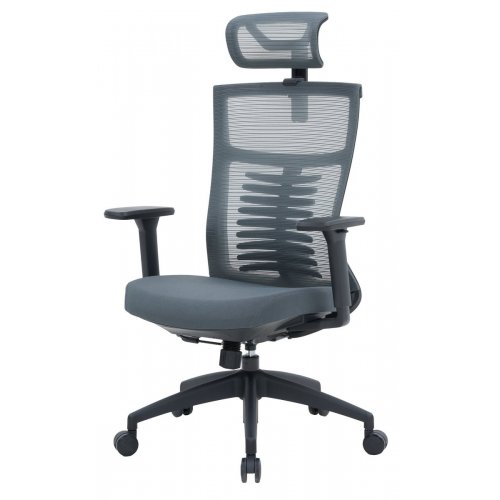 Купити Крісло офісне OfficePro Balance OC550 (OC550-B-DG-DG) Black/Dark Gray - ціна в Києві, Львові, Вінниці, Хмельницькому, Франківську, Україні | інтернет-магазин TELEMART.UA фото