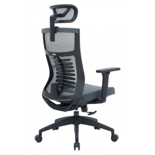 Купити Крісло офісне OfficePro Balance OC550 (OC550-B-DG-DG) Black/Dark Gray - ціна в Києві, Львові, Вінниці, Хмельницькому, Франківську, Україні | інтернет-магазин TELEMART.UA фото