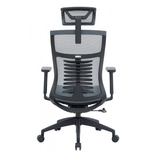 Купити Крісло офісне OfficePro Balance OC550 (OC550-B-DG-DG) Black/Dark Gray - ціна в Києві, Львові, Вінниці, Хмельницькому, Франківську, Україні | інтернет-магазин TELEMART.UA фото