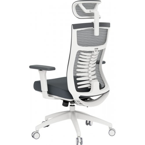 Офисное кресло OfficePro Balance OC550 (OC550-W-DG-DG) White/Dark Gray купить в Украине: Киев, Днепр, Харьков, Одесса  | Низкая цена, отзывы, характеристики от TELEMART фото