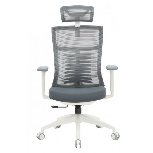 Купити Крісло офісне OfficePro Balance OC550 (OC550-W-DG-DG) White/Dark Gray - ціна в Києві, Львові, Вінниці, Хмельницькому, Франківську, Україні | інтернет-магазин TELEMART.UA фото