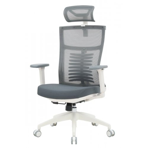 Купити Крісло офісне OfficePro Balance OC550 (OC550-W-DG-DG) White/Dark Gray - ціна в Києві, Львові, Вінниці, Хмельницькому, Франківську, Україні | інтернет-магазин TELEMART.UA фото