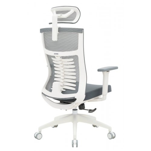 Купити Крісло офісне OfficePro Balance OC550 (OC550-W-DG-DG) White/Dark Gray - ціна в Києві, Львові, Вінниці, Хмельницькому, Франківську, Україні | інтернет-магазин TELEMART.UA фото