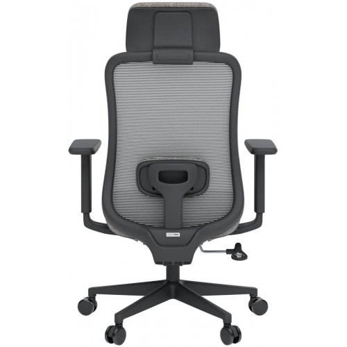 Крісло офісне OfficePro Wave OC599 (OC599-B-DG-DG) Black/Dark Gray купити в Україні: Київ, Львів, Хмельницький, Тернопіль, Івано-Франківськ | Низька ціна, відгуки, характеристики від TELEMART фото