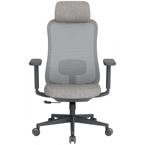 Купити Крісло офісне OfficePro Wave OC599 (OC599-B-DG-DG) Black/Dark Gray - ціна в Києві, Львові, Вінниці, Хмельницькому, Франківську, Україні | інтернет-магазин TELEMART.UA фото