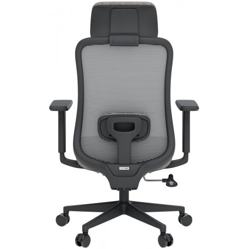Купити Крісло офісне OfficePro Wave OC599 (OC599-B-DG-DG) Black/Dark Gray - ціна в Києві, Львові, Вінниці, Хмельницькому, Франківську, Україні | інтернет-магазин TELEMART.UA фото