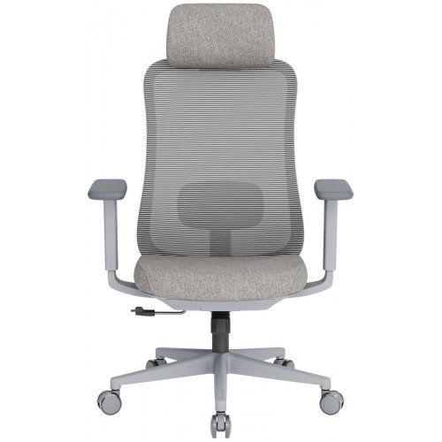 Купити Крісло офісне OfficePro Wave OC599 (OC599-G-G-G) Gray - ціна в Києві, Львові, Вінниці, Хмельницькому, Франківську, Україні | інтернет-магазин TELEMART.UA фото