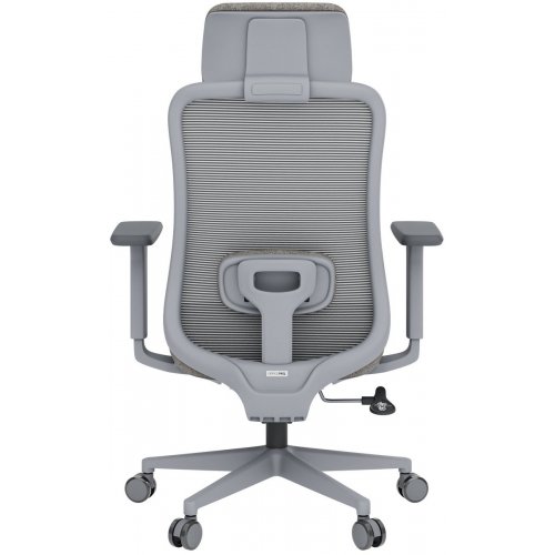 Купити Крісло офісне OfficePro Wave OC599 (OC599-G-G-G) Gray - ціна в Києві, Львові, Вінниці, Хмельницькому, Франківську, Україні | інтернет-магазин TELEMART.UA фото