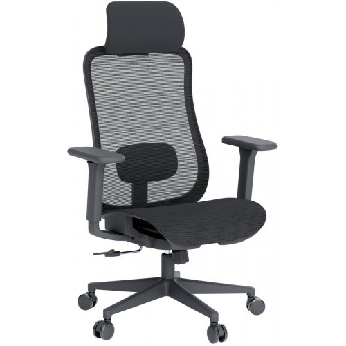 Купити Крісло офісне OfficePro Wave OC670 (OC670-B-B-B) Black - ціна в Києві, Львові, Вінниці, Хмельницькому, Франківську, Україні | інтернет-магазин TELEMART.UA фото