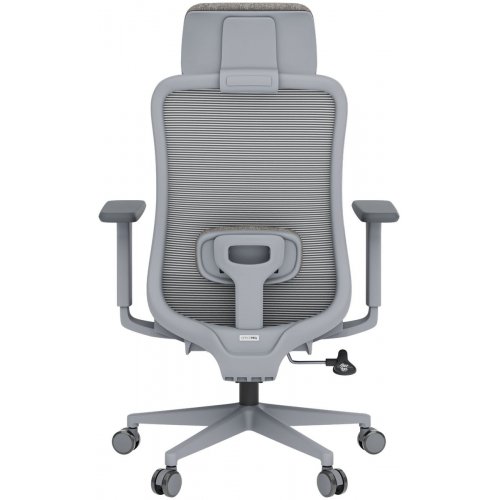 Крісло офісне OfficePro Wave OC670 (OC670-G-G-G) Gray купити в Україні: Київ, Львів, Хмельницький, Тернопіль, Івано-Франківськ | Низька ціна, відгуки, характеристики від TELEMART фото