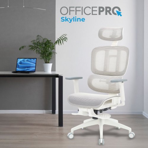 Купити Крісло офісне OfficePro Skyline Footrest OC750 (OC750-W-LG-LG) White/Light Gray - ціна в Києві, Львові, Вінниці, Хмельницькому, Франківську, Україні | інтернет-магазин TELEMART.UA фото
