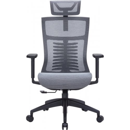 Купить Офисное кресло OfficePro Balance OC620 (OC620-B-DG-DG) Black/Dark Gray - цена в Харькове, Киеве, Днепре, Одессе
в интернет-магазине Telemart фото