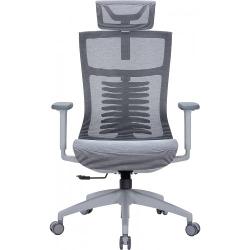 Купить Офисное кресло OfficePro Balance OC620 (OC620-G-DG-DG) Gray/Dark Gray - цена в Харькове, Киеве, Днепре, Одессе
в интернет-магазине Telemart фото