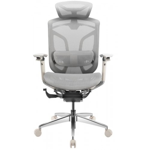 Ергономічне крісло GT Chair Dvary X Pro Grey купити в Україні: Київ, Львів, Хмельницький, Тернопіль, Івано-Франківськ | Низька ціна, відгуки, характеристики від TELEMART фото