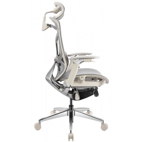 Ергономічне крісло GT Chair Dvary X Pro Grey купити в Україні: Київ, Львів, Хмельницький, Тернопіль, Івано-Франківськ | Низька ціна, відгуки, характеристики від TELEMART фото