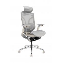 Ергономічне крісло GT Chair Dvary X Pro Grey