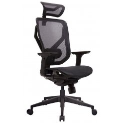 Эргономичное кресло GT Chair Vida M Black