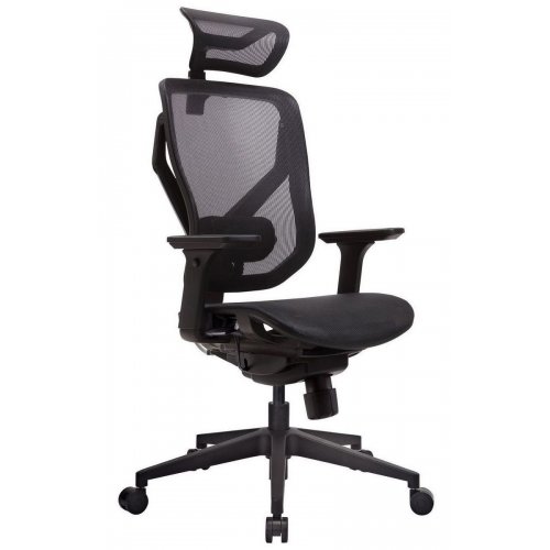 Ергономічне крісло GT Chair Vida M Black купити в Україні: Київ, Львів, Хмельницький, Тернопіль, Івано-Франківськ | Низька ціна, відгуки, характеристики від TELEMART фото