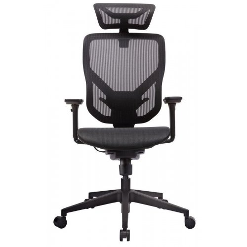 Ергономічне крісло GT Chair Vida M Black купити в Україні: Київ, Львів, Хмельницький, Тернопіль, Івано-Франківськ | Низька ціна, відгуки, характеристики від TELEMART фото