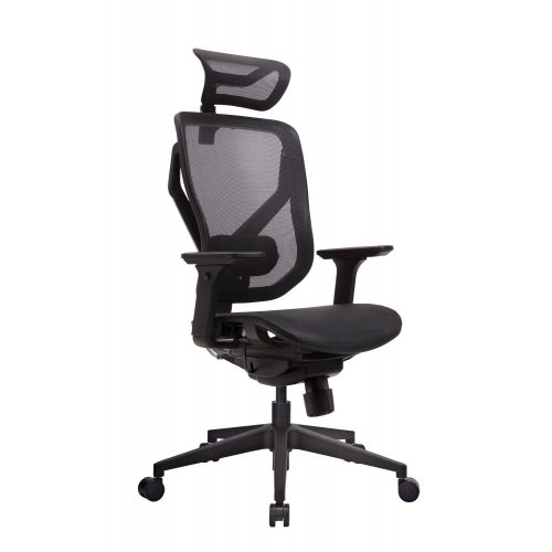 Купить Эргономичное кресло GT Chair Vida M Black - цена в Харькове, Киеве, Днепре, Одессе
в интернет-магазине Telemart фото