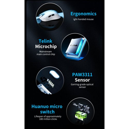 Купить Мышка Ajazz AJ179 V2 Max Wireless (AJ179-V2-MAX-B) Black - цена в Харькове, Киеве, Днепре, Одессе
в интернет-магазине Telemart фото