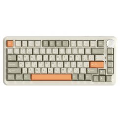 Клавиатура Ajazz AK820 MAX RGB Flying Fish Switches (AK820MAX-FF-R) Retro Colour
