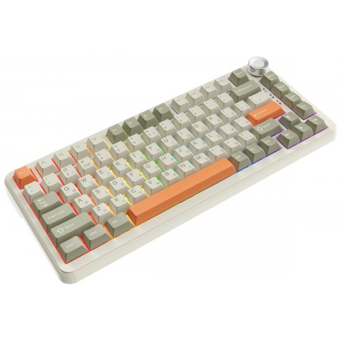 Купить Клавиатура Ajazz AK820 MAX RGB Flying Fish Switches (AK820MAX-FF-R) Retro Colour - цена в Харькове, Киеве, Днепре, Одессе
в интернет-магазине Telemart фото