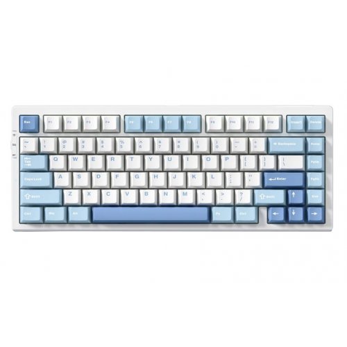 Купить Клавиатура MCHOSE G75 Pro RGB Mechanical Matcha Latte Switch V2 Wireless (MC-G75-8-UA) Blue - цена в Харькове, Киеве, Днепре, Одессе
в интернет-магазине Telemart фото