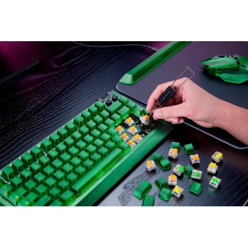 Купити Клавіатура Razer BlackWidow V4 75% Mechanical Tactile Switches Phantom Green Edition (RZ03-05003300-R3M1) Black - ціна в Києві, Львові, Вінниці, Хмельницькому, Франківську, Україні | інтернет-магазин TELEMART.UA фото