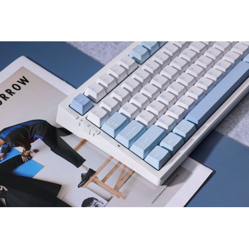 Клавіатура MCHOSE G75 Pro RGB Mechanical Cabbage Tofu Switch Wireless (MC-G75-4A-UA) Blue купити в Україні: Київ, Львів, Хмельницький, Тернопіль | Низька ціна, відгуки, характеристики від TELEMART фото