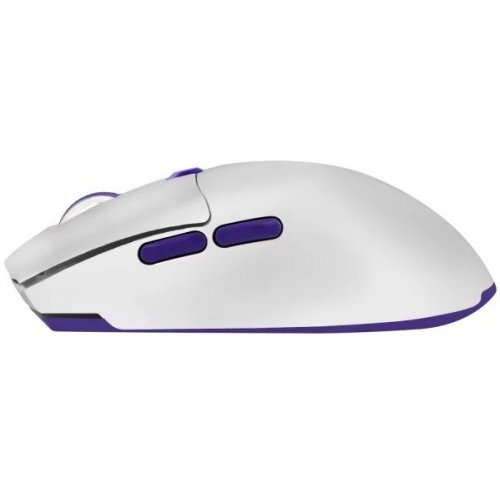 Купить Мышка Proove Gaming Rate Special Edition (CMRTWRS03002) White/Purple - цена в Харькове, Киеве, Днепре, Одессе
в интернет-магазине Telemart фото