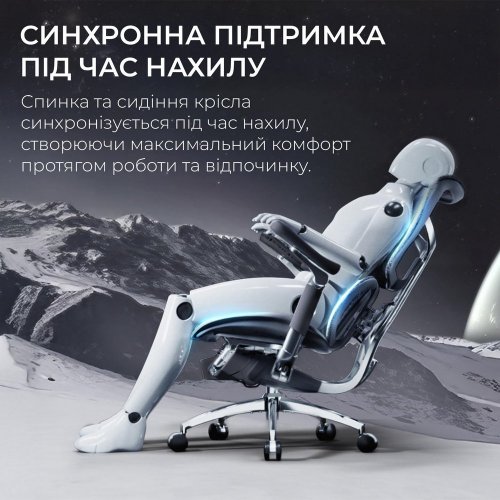 Купити Крісло офісне Sihoo DORO S300 Mesh (S300-M201) Dark Grey - ціна в Києві, Львові, Вінниці, Хмельницькому, Франківську, Україні | інтернет-магазин TELEMART.UA фото