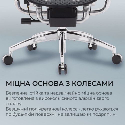 Купити Крісло офісне Sihoo DORO S300 Mesh (S300-M201) Dark Grey - ціна в Києві, Львові, Вінниці, Хмельницькому, Франківську, Україні | інтернет-магазин TELEMART.UA фото