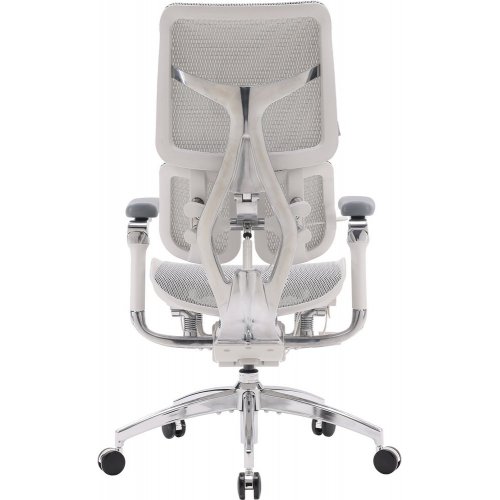Купити Крісло офісне Sihoo DORO S300 Mesh (S300-M202) Light Grey - ціна в Києві, Львові, Вінниці, Хмельницькому, Франківську, Україні | інтернет-магазин TELEMART.UA фото