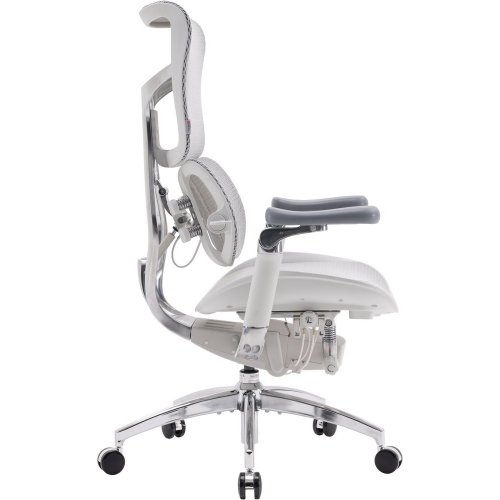 Купити Крісло офісне Sihoo DORO S300 Mesh (S300-M202) Light Grey - ціна в Києві, Львові, Вінниці, Хмельницькому, Франківську, Україні | інтернет-магазин TELEMART.UA фото